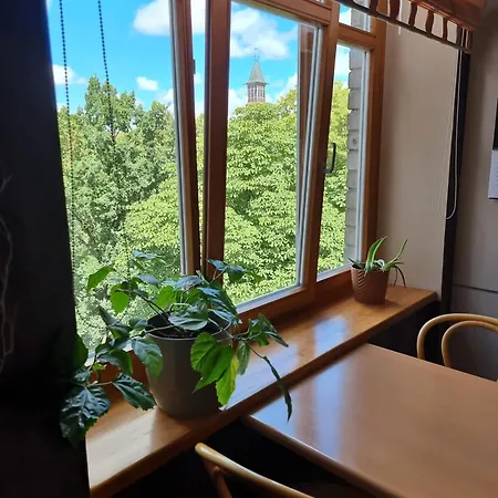 Js Apartamentai Su Savarankisku Isiregistravimu