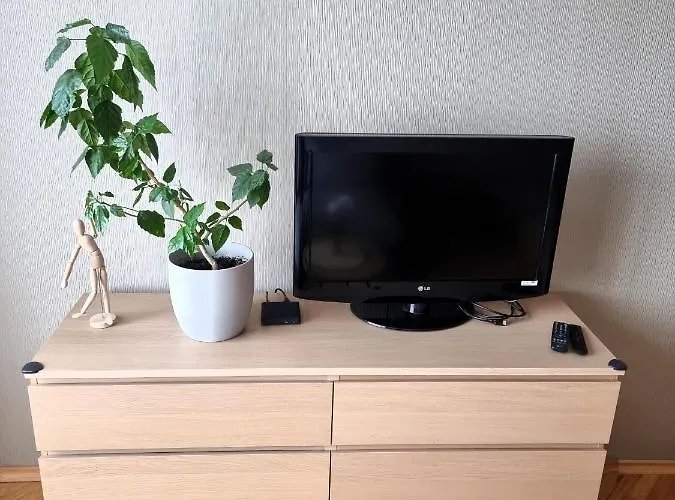 Js Apartamentai Su Savarankisku Isiregistravimu Apartment