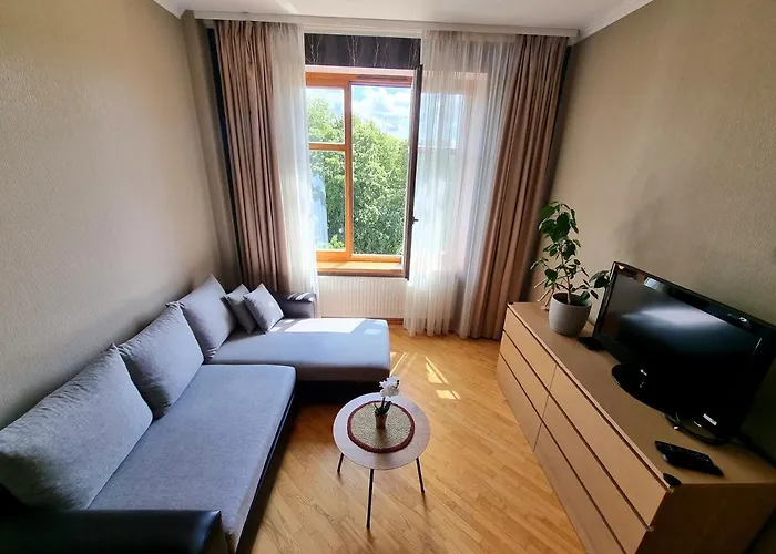 Js Apartamentai Su Savarankisku Isiregistravimu *