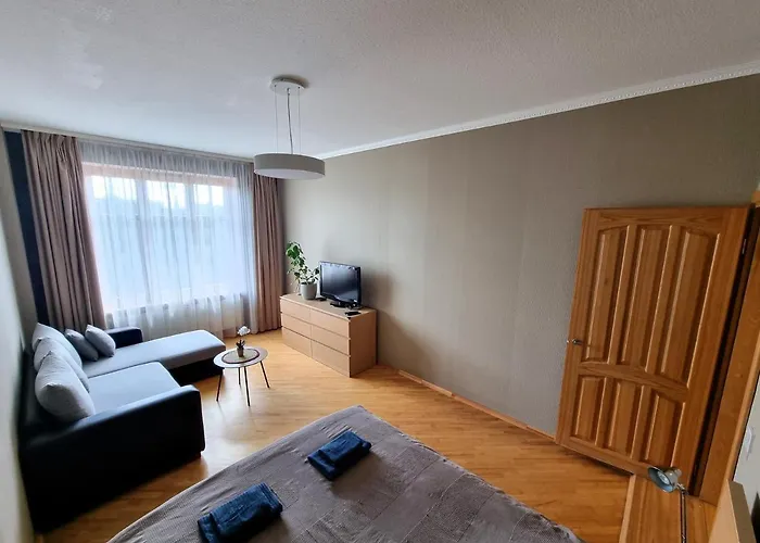 Butas Js Apartamentai Su Savarankisku Isiregistravimu