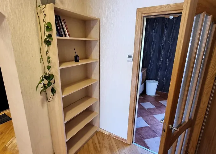Apartment Js Apartamentai Su Savarankisku Isiregistravimu Klaipeda