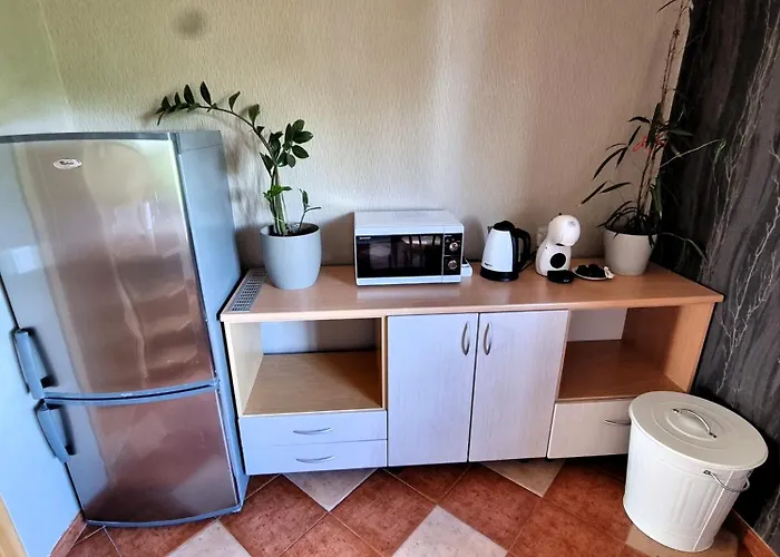 Apartment Js Apartamentai Su Savarankisku Isiregistravimu Klaipeda