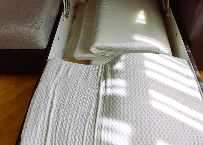 Js Apartamentai Su Savarankisku Isiregistravimu *